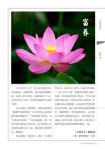 Between Heaven and Earth 《天地蒼生》第300期/TDCS-300